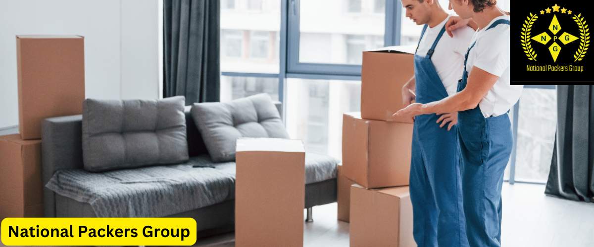 packers and movers pali